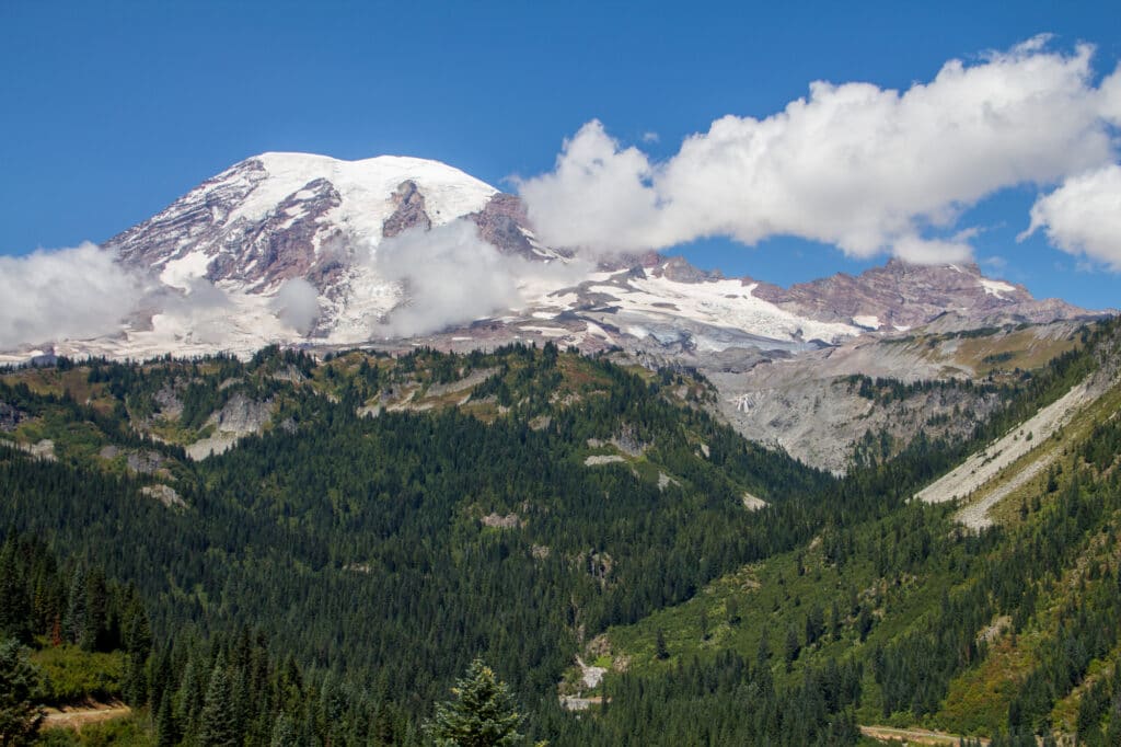 Mount Rainier from Stevens Canyon Road