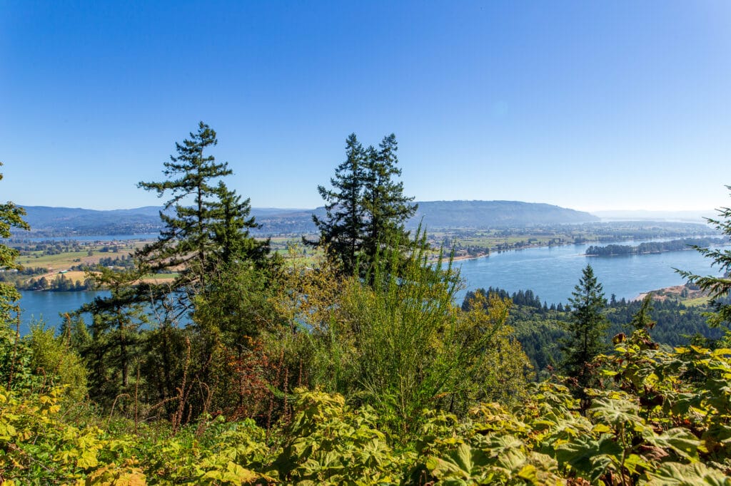 Overlooking the Columbia River at the Bradley State Scenic Viewpoint
