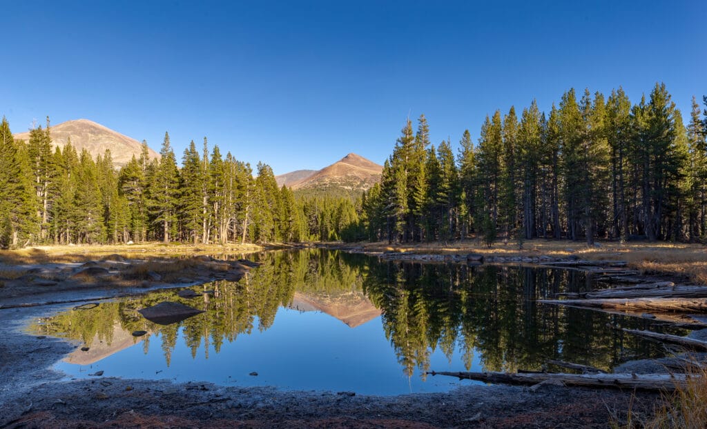 Mount Gibbs reflects off a still pond in Yosemite National Park