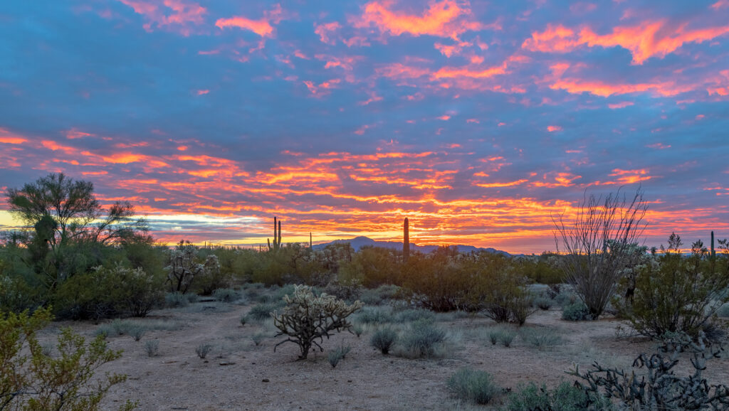 Burning Sky Sunset in Arizona