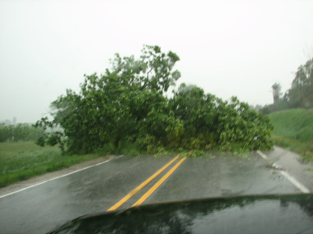 Tree down blocking a road in southern Michigan after thunderstorms