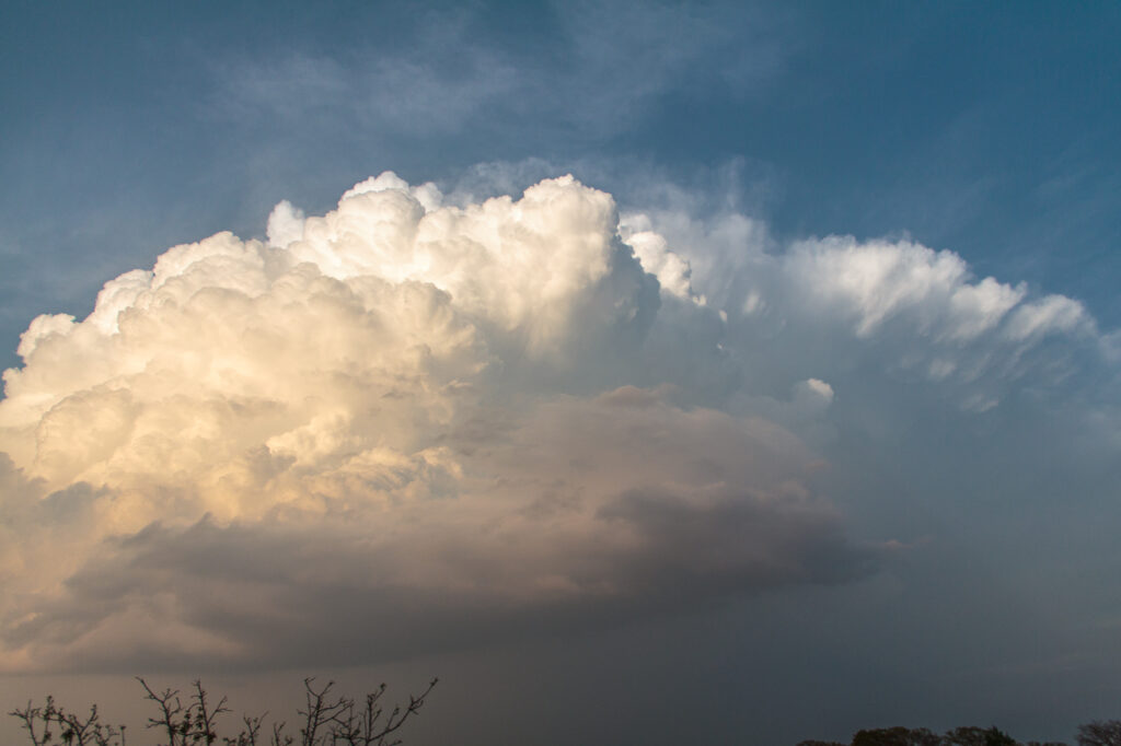 Storm Towers