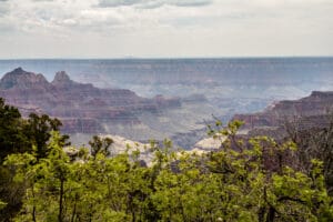 Overlooking the Grand Canyon near the Grand Canyon lodge North Rim