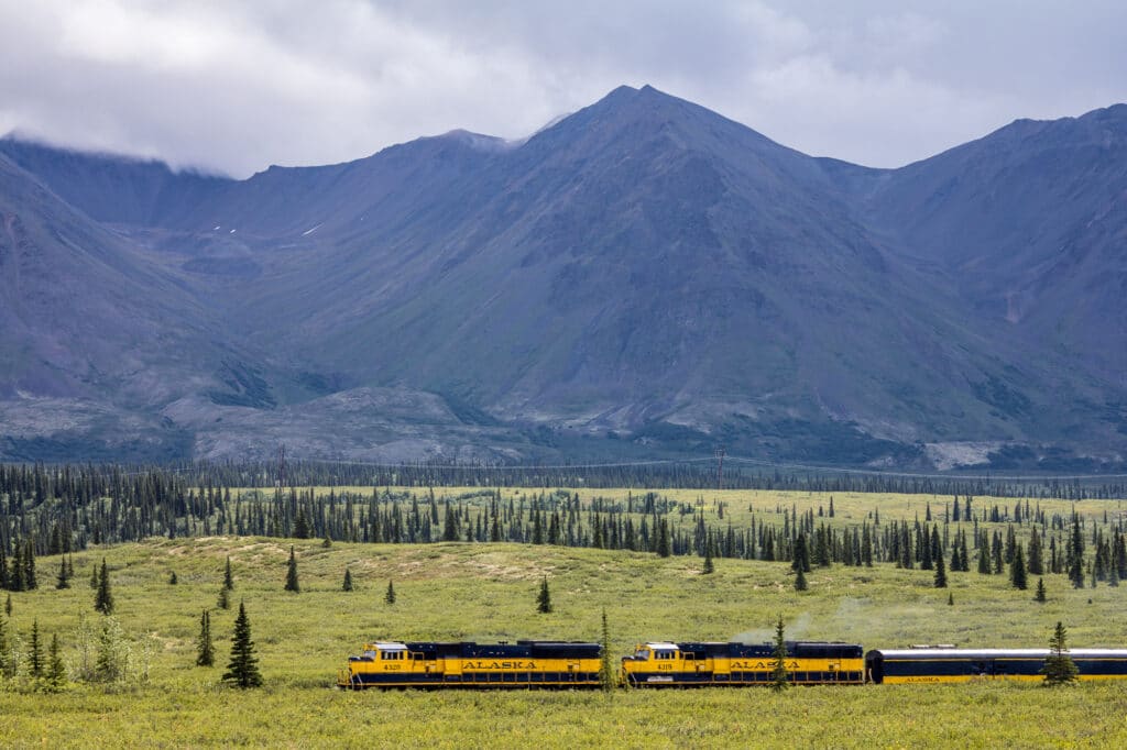 The Alaska Train rolls through the landscape near Denali State Park