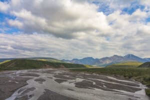 Denali Landscape