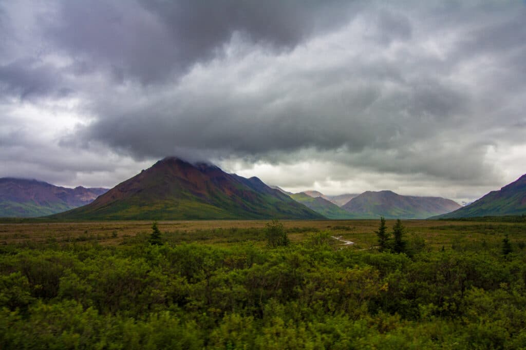 Some of the beautiful landscape in Denali National Park.