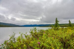 Wonder Lake in Denali