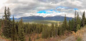 Bow River Valley near Lake Louise