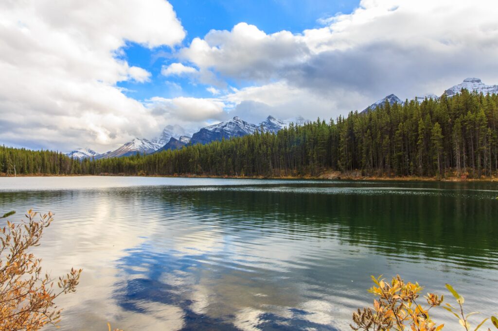 Herbert Lake