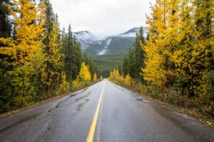 Road in Fall in Jasper National Park