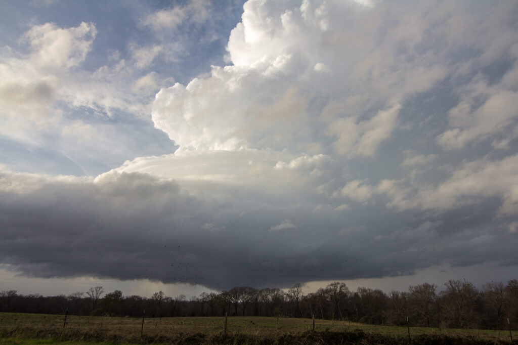 LP Supercell in East Texas