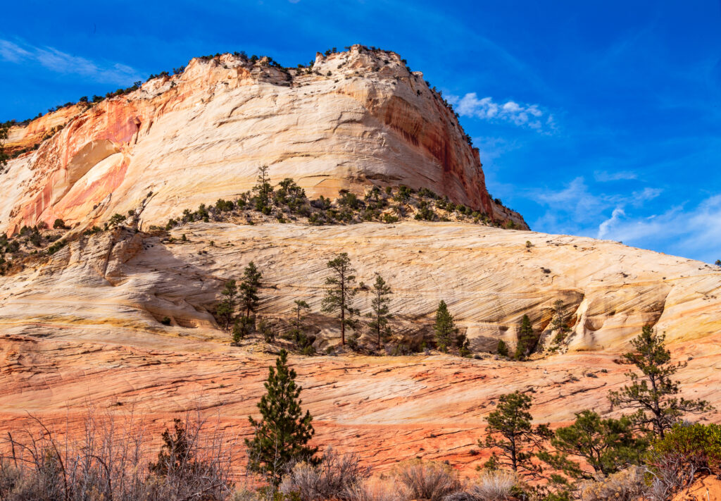 Eastern Zion National Park