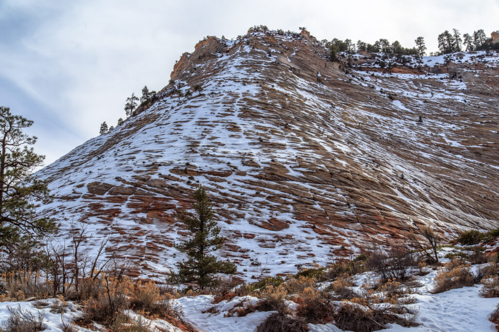 Snowcovered Checkerboard Mesa