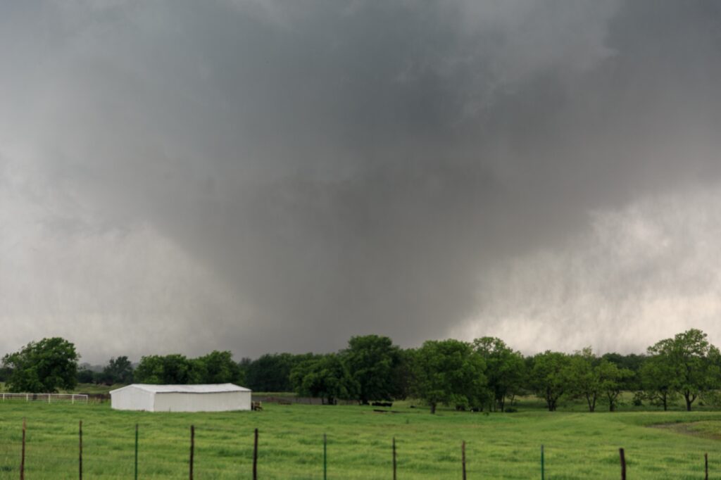 Sulphur Wedge approaching us 377