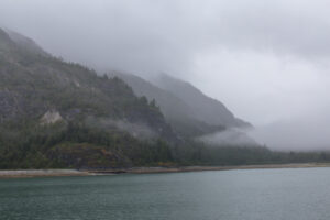 Foggy Day in Glacier Bay