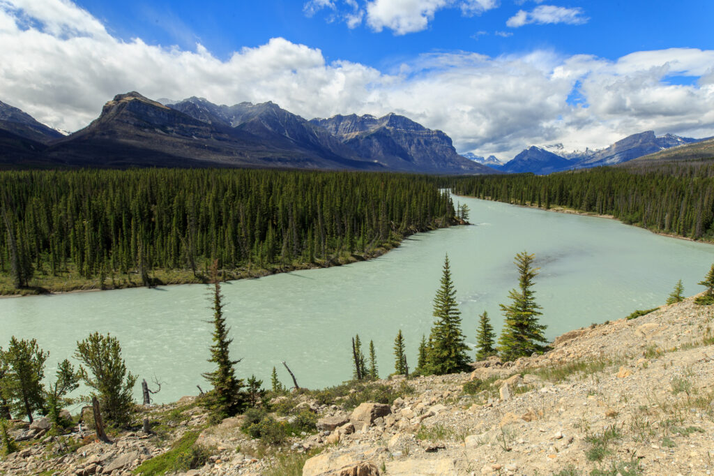 The North Saskatchewan River flows out of the Canadian Rockies in Alberta Canada