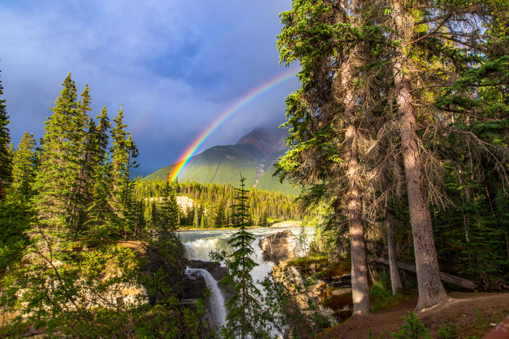 A bright rainbow appears over Athabasca Falls on a rainy evening in Jasper National Park