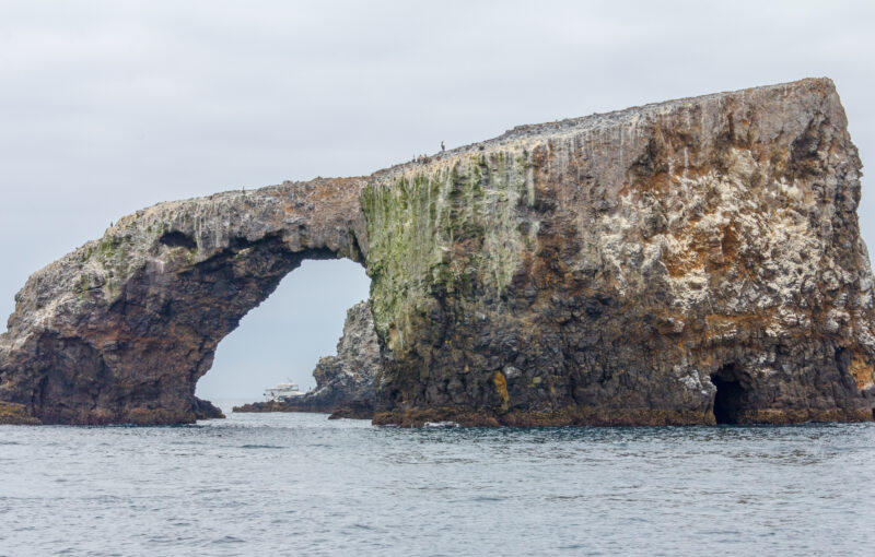 Anacapa Island Arch, Channel Islands National Park