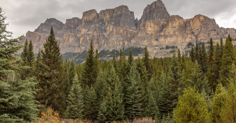 Castle Mountain