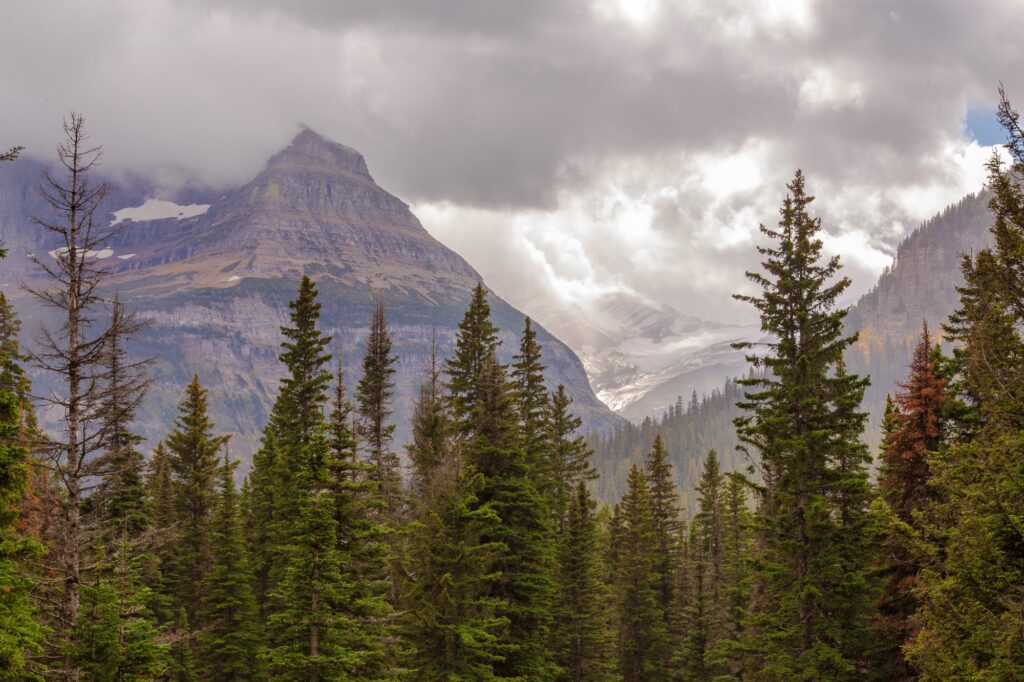 Jackson Glacier Overlook