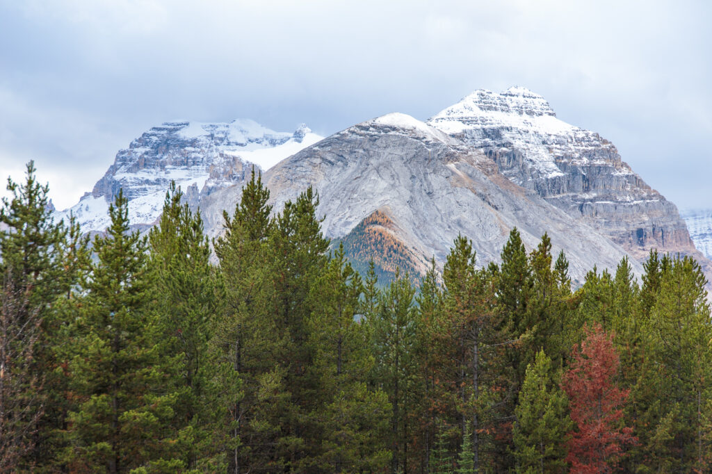 Vanguard Peak