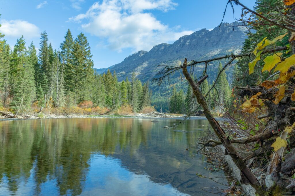 Waterton River