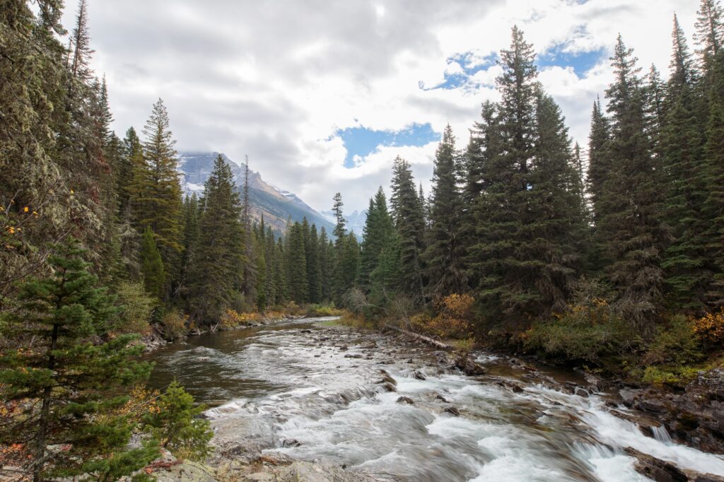 Waterton River