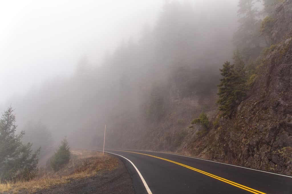 Foggy conditions along Hurricane Ridge Road in Olympic National Park