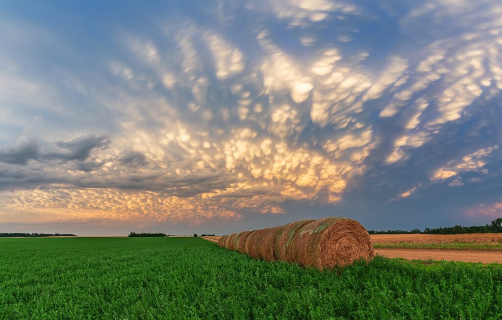 Mammatus over central Kansas at Sunset on June 15, 2017