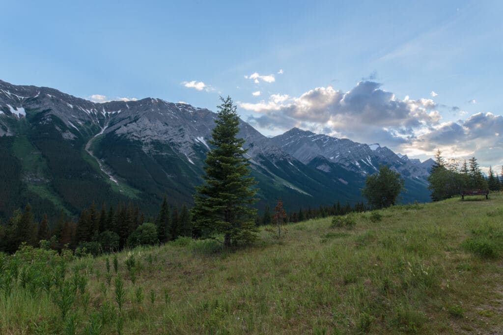 View of Mount Lawson from the Valley in Peter Lougheed Provincal Park, Alberta, Canada