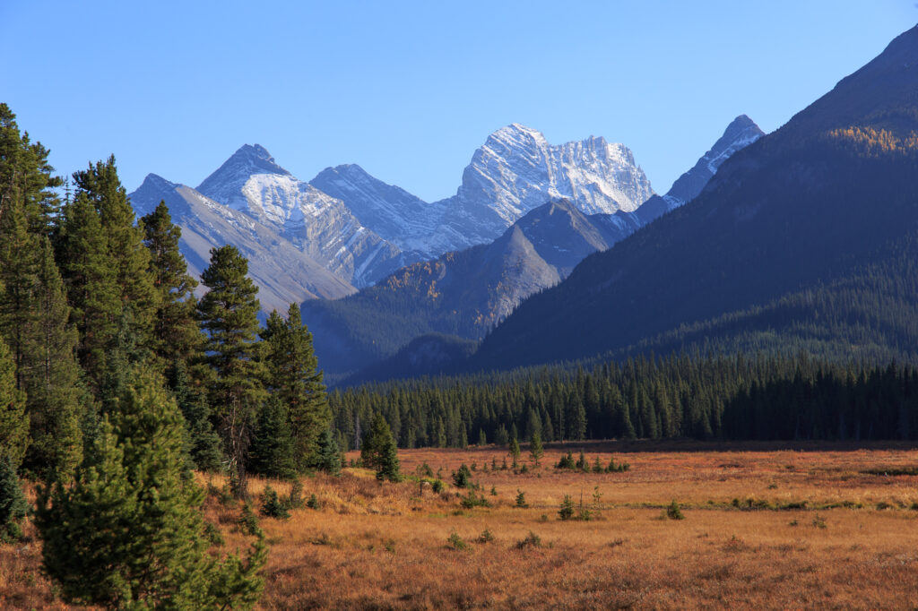 A view across a meadow towards Mt. Burstall and others in Spray Valley Provincial Park - Kananaskis Country