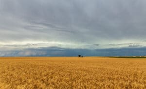 Shelf Cloud rolls over a wheat field east of Dodge City, Kansas