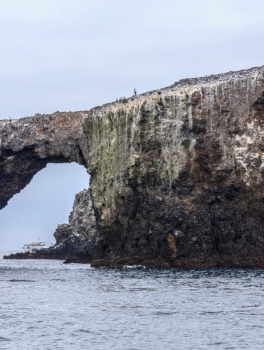 Arch Rock off Anacapa Island in the Channel Islands National Park off Oxnard, CA