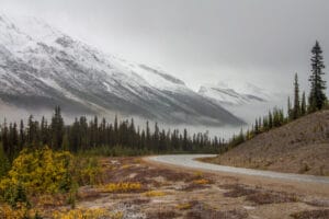 Mount Athabasca in the snow