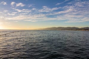 Fishing's good