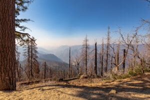 Smoke fills the valley in Yosemite National Park