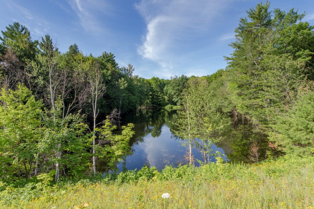 Michigan's Upper Peninsula