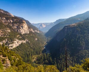 Overlooking Yosemite Valley