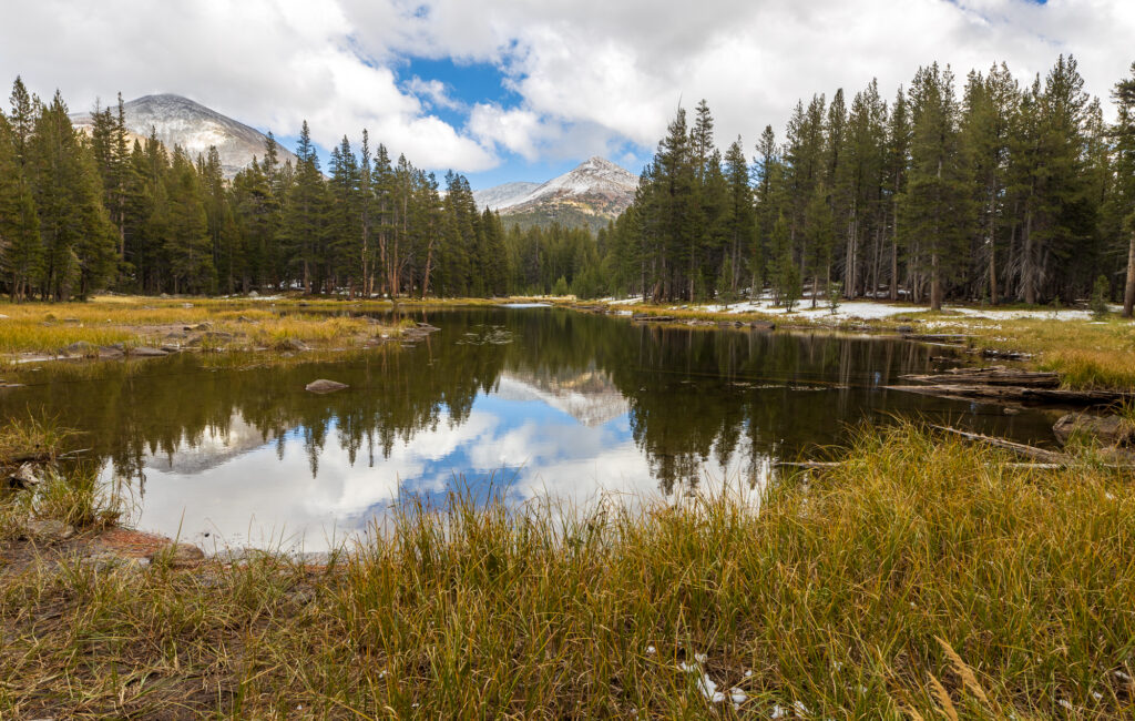 Mount Gibbs and Mount Dana reflecting on a pond in Yosemite National Park on Tioga Road