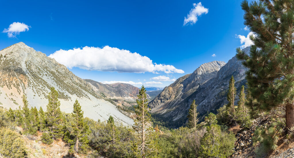 Tioga Pass