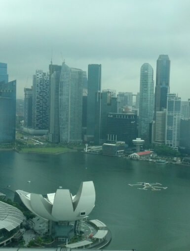 Overlooking Singapore Sports Hub