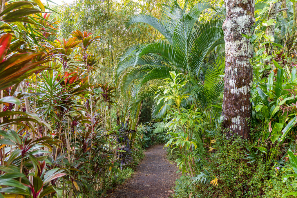 Garden of Eden Arboretum