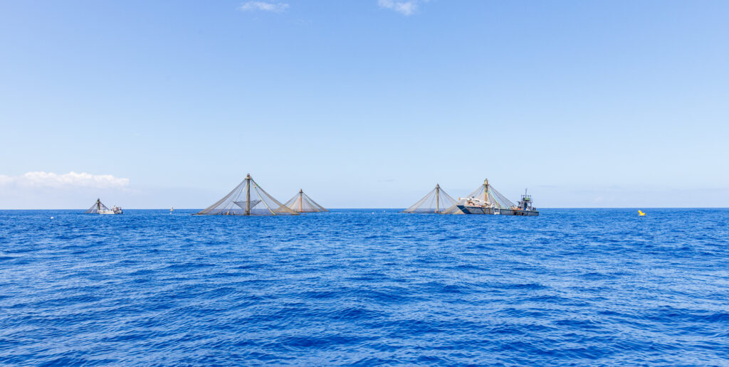BlueOcean Mariculture Nets off shore from Kona