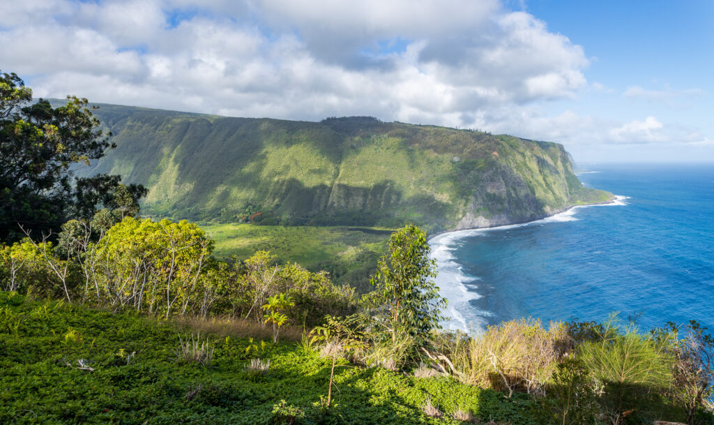 Waipiʻo Valley Lookout