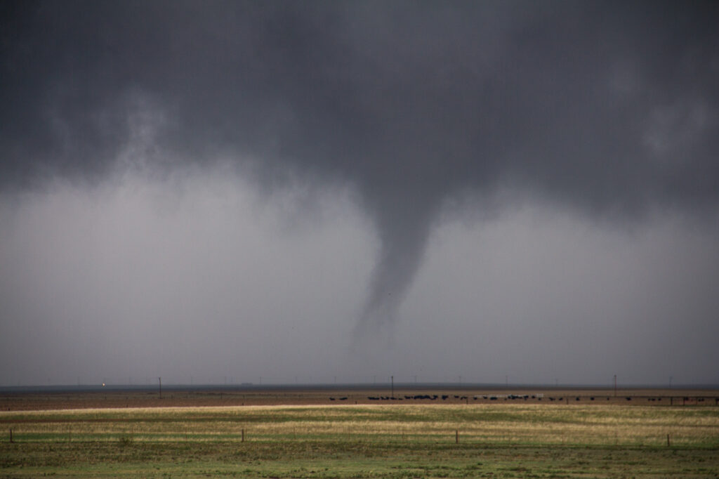 Alden Tornado