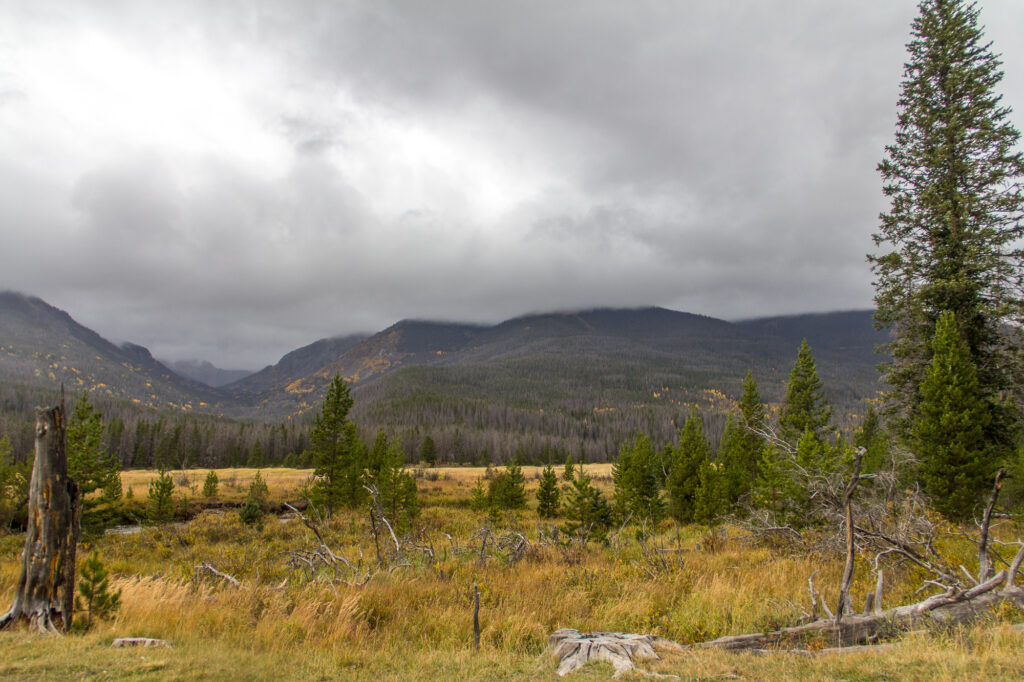 Low Clouds in Rocky Mountain National Park