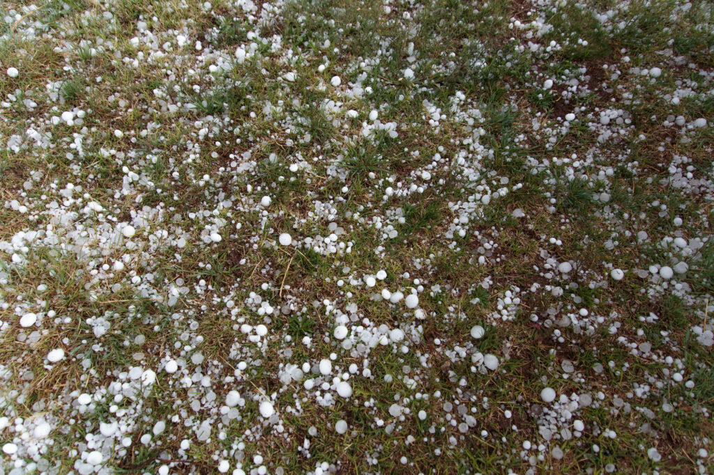 Ground covered in small hail