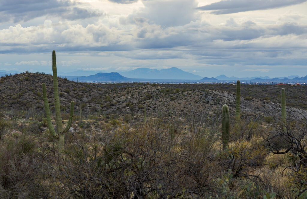 Overlooking Tucson