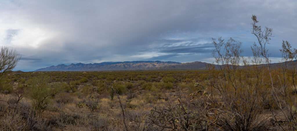 Mountains from Saguaro National Park