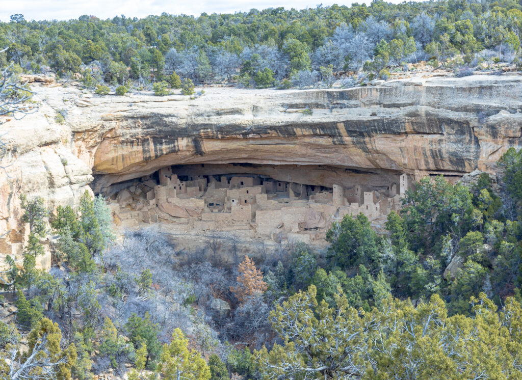 The Cliff Palace in Mesa Verde National Park
